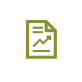 document icon
